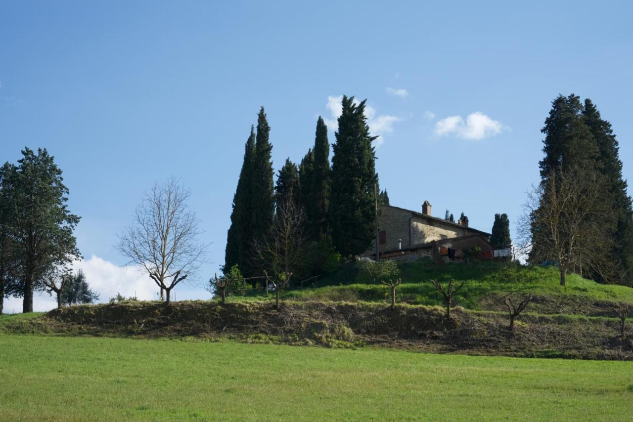 Agriturismo Il Caio 切托纳 外观 照片