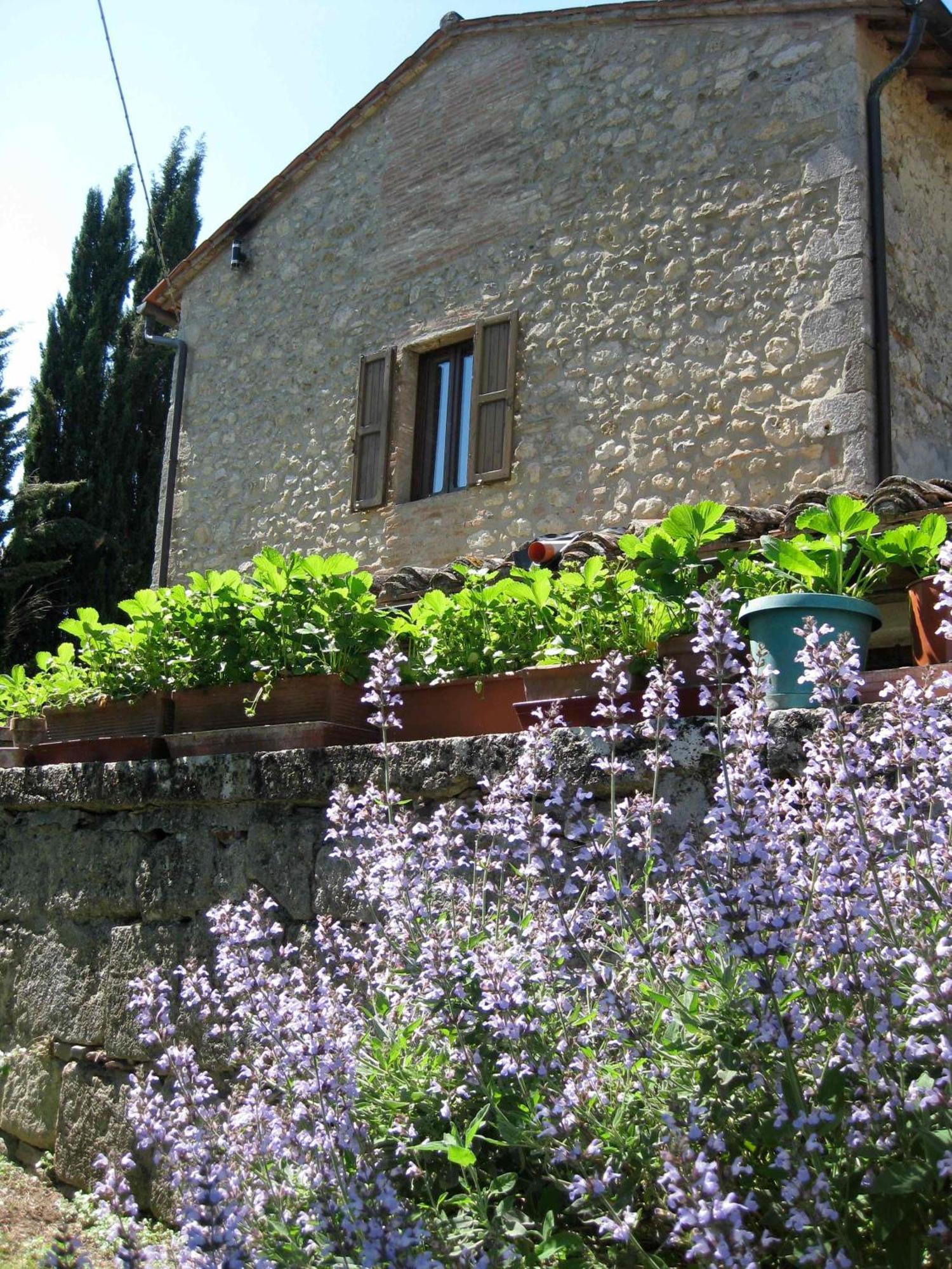Agriturismo Il Caio 切托纳 外观 照片