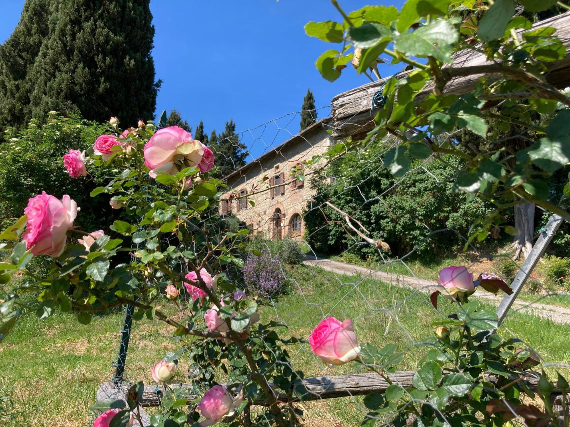Agriturismo Il Caio 切托纳 外观 照片