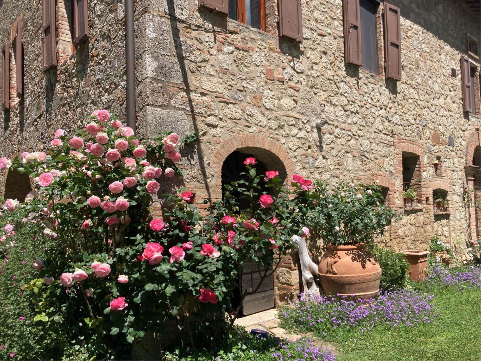 Agriturismo Il Caio 切托纳 外观 照片