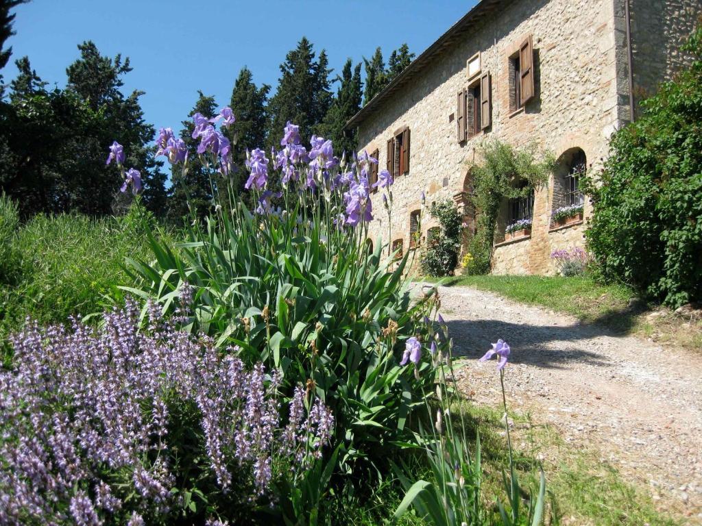 Agriturismo Il Caio 切托纳 外观 照片