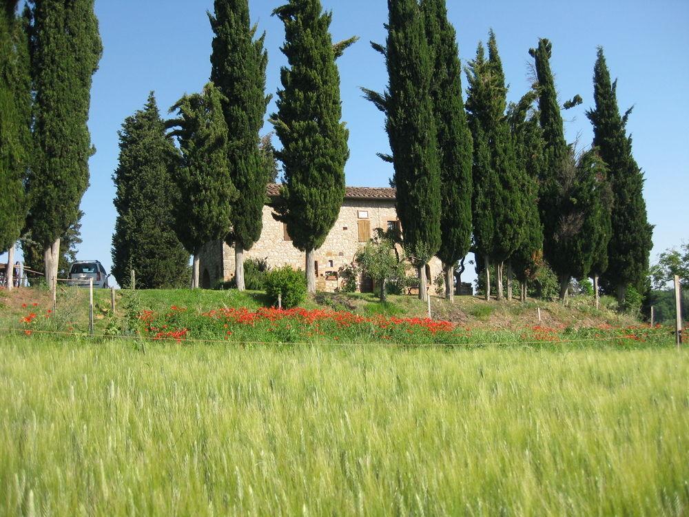 Agriturismo Il Caio 切托纳 外观 照片