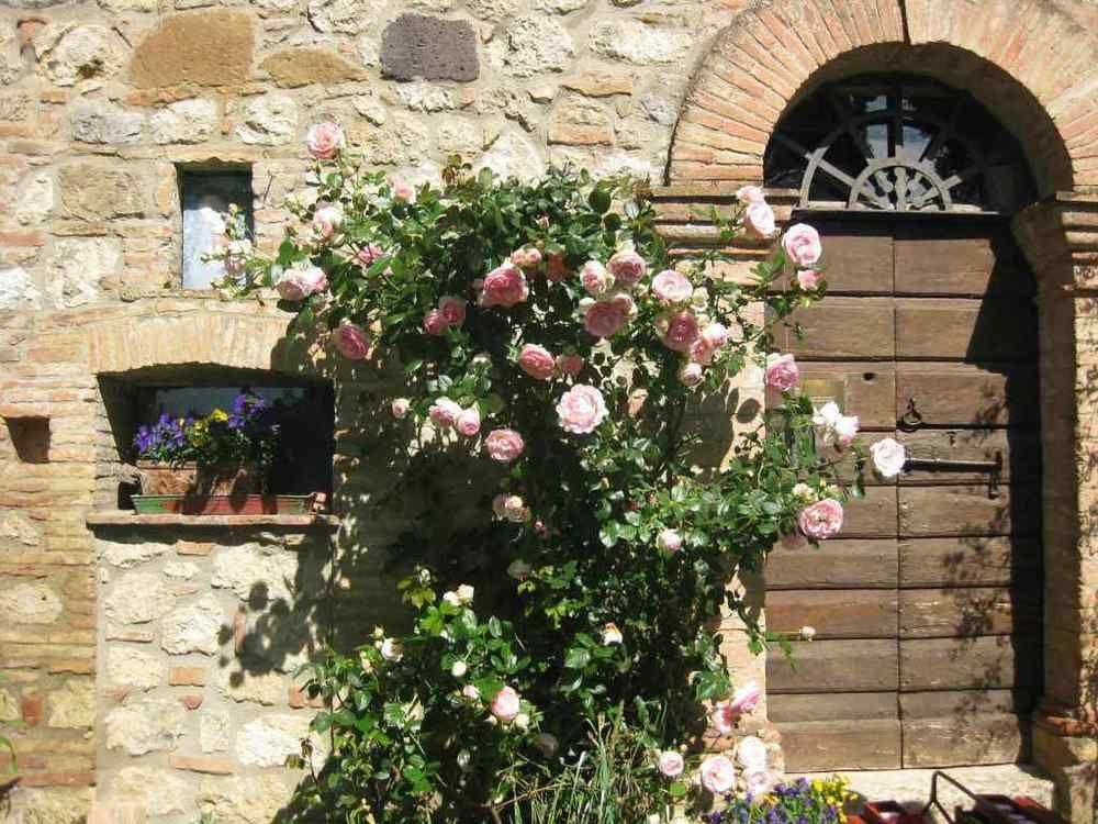 Agriturismo Il Caio 切托纳 外观 照片