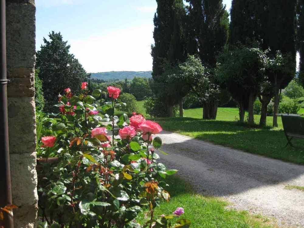 Agriturismo Il Caio 切托纳 外观 照片