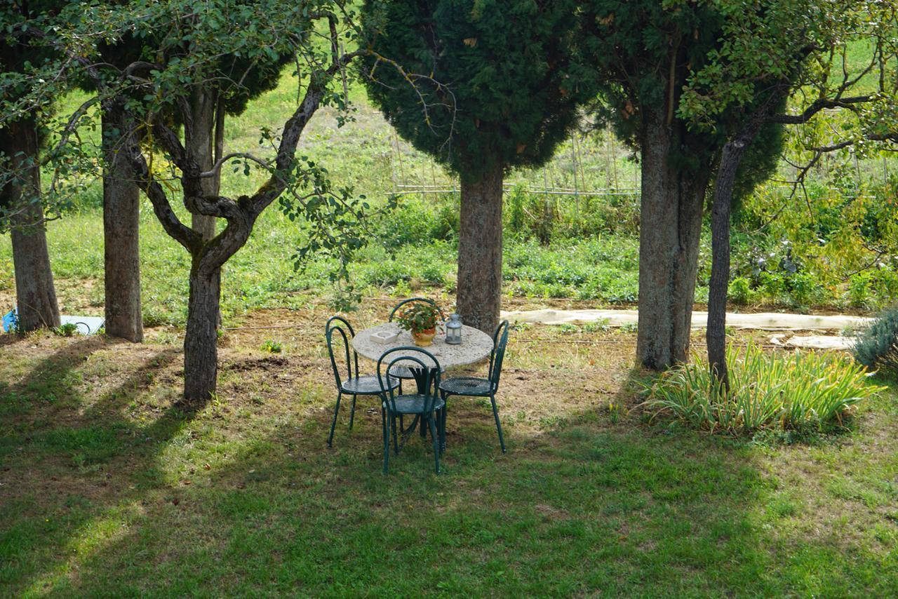 Agriturismo Il Caio 切托纳 外观 照片