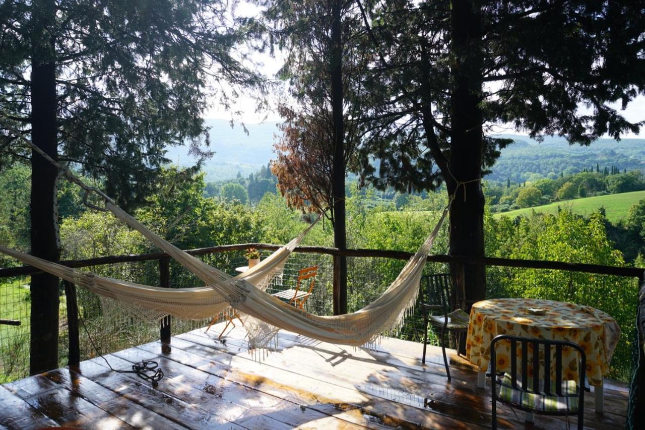 Agriturismo Il Caio 切托纳 外观 照片