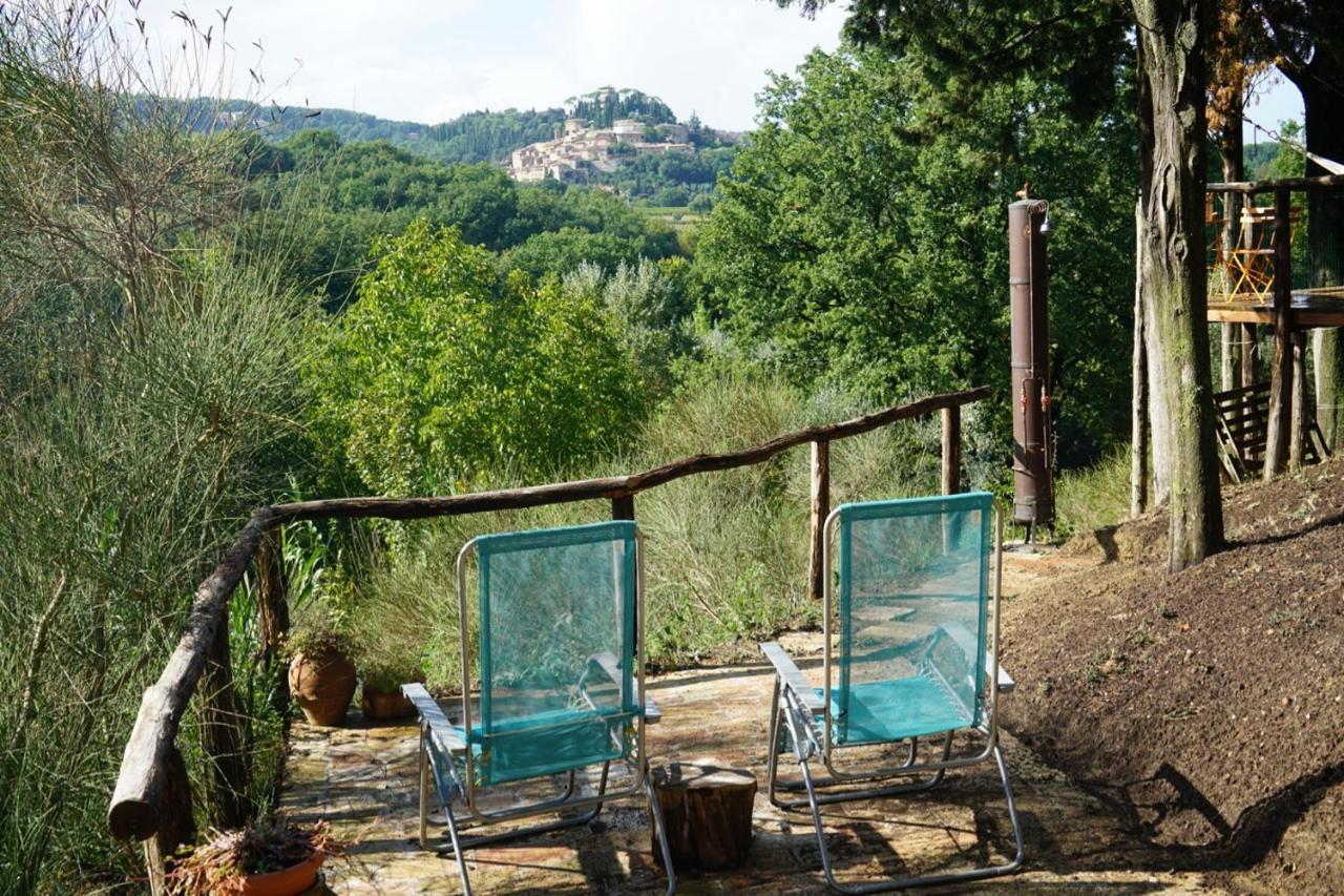 Agriturismo Il Caio 切托纳 外观 照片